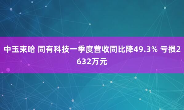 中玉束哈 同有科技一季度营收同比降49.3% 亏损2632万元