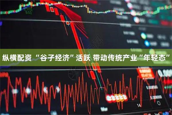 纵横配资 “谷子经济”活跃 带动传统产业“年轻态”