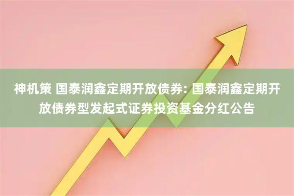 神机策 国泰润鑫定期开放债券: 国泰润鑫定期开放债券型发起式证券投资基金分红公告
