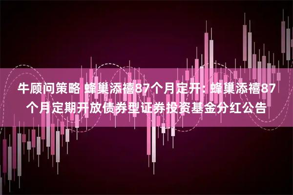 牛顾问策略 蜂巢添禧87个月定开: 蜂巢添禧87个月定期开放债券型证券投资基金分红公告